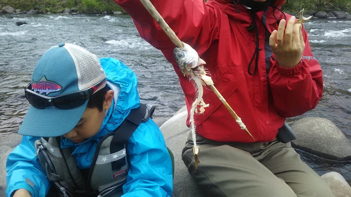 f:id:flyfisher417:20200608204649j:plain f:id:flyfisher417:20200608204649j:plain