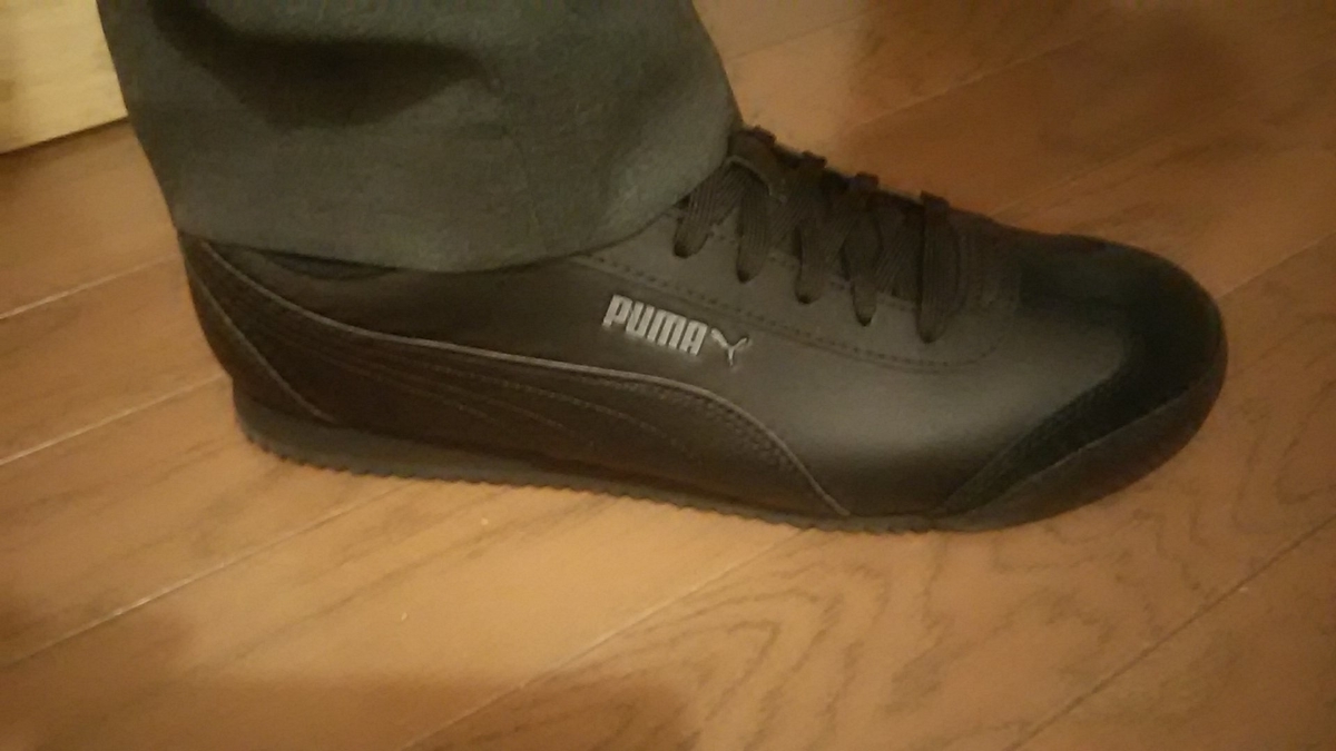 f:id:flyfisher417:20200701204752j:plain