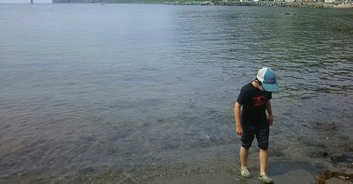 f:id:flyfisher417:20200705085611j:plain f:id:flyfisher417:20200705085611j:plain