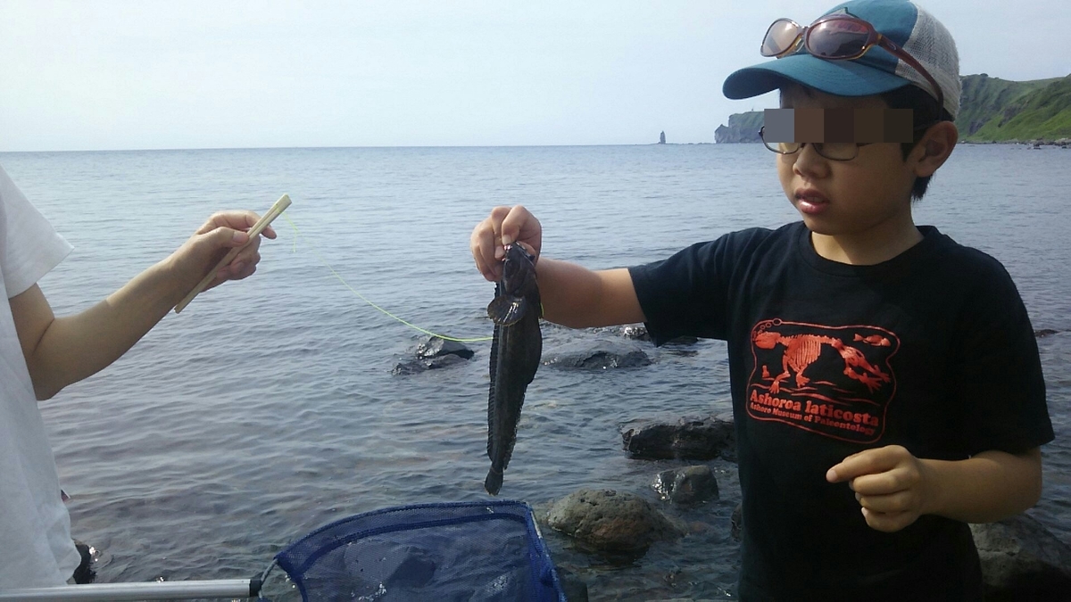 f:id:flyfisher417:20200705091012j:plain f:id:flyfisher417:20200705091012j:plain