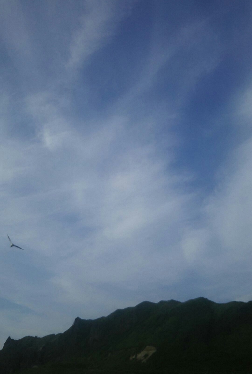 f:id:flyfisher417:20200705092102j:plain f:id:flyfisher417:20200705092102j:plain