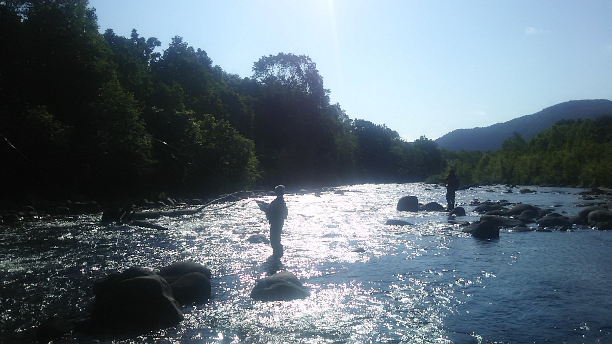 f:id:flyfisher417:20200720213741j:plain