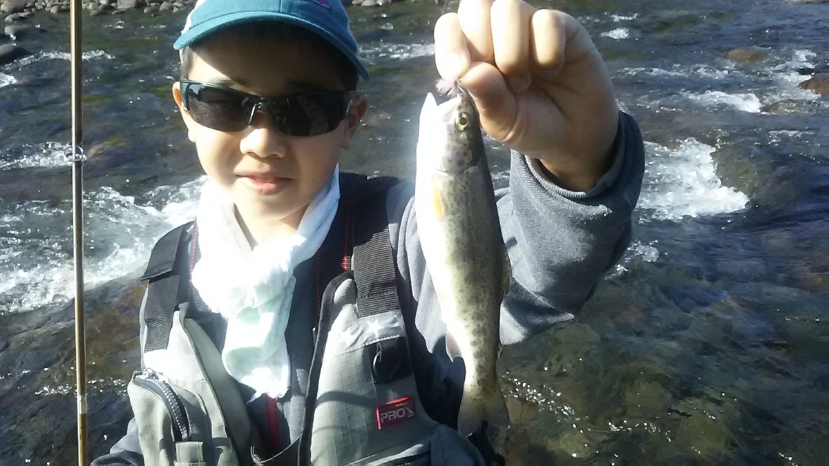 f:id:flyfisher417:20200720214709j:plain