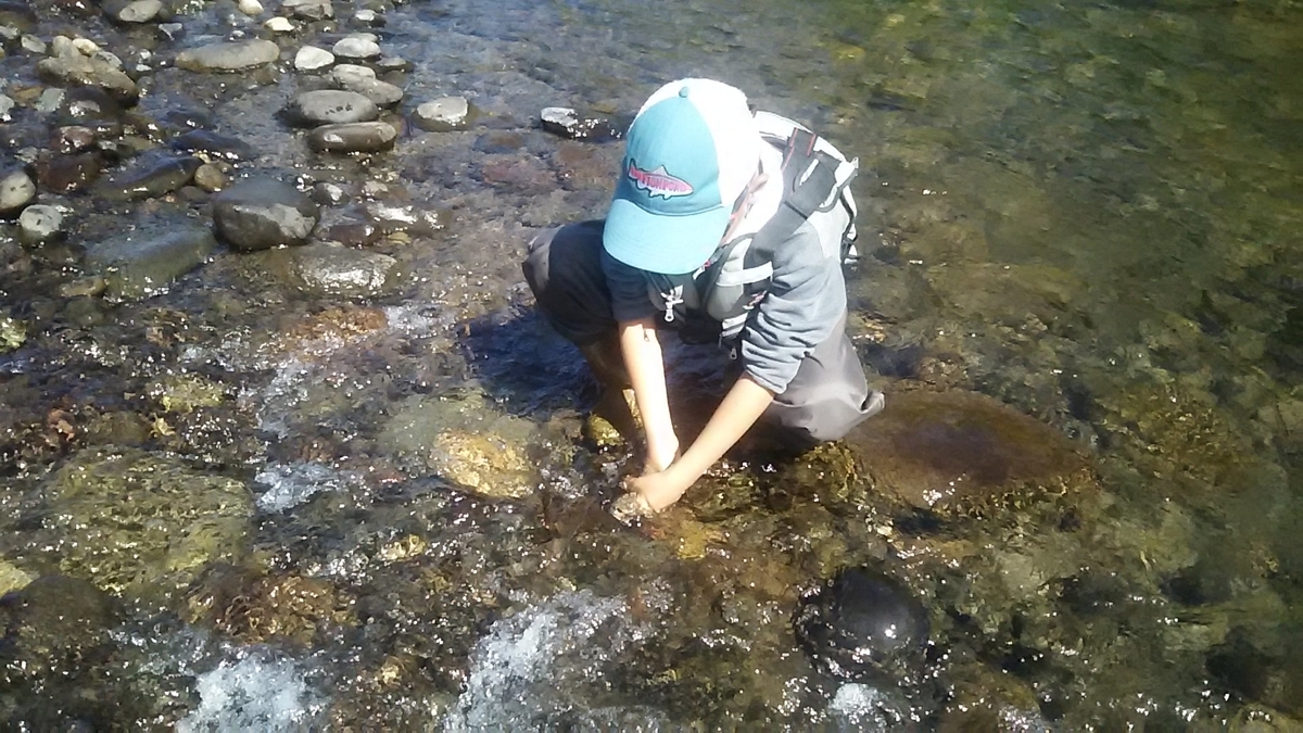 f:id:flyfisher417:20200725055340j:plain