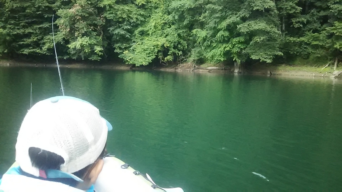 f:id:flyfisher417:20200730102244j:plain f:id:flyfisher417:20200730102244j:plain