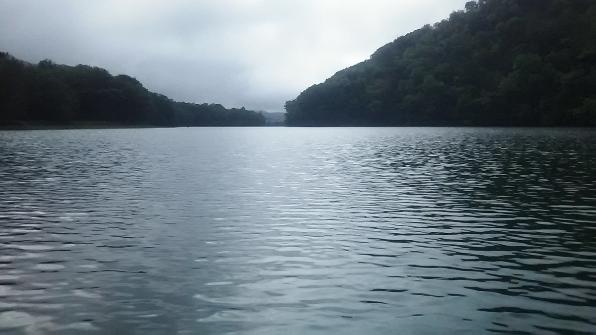 f:id:flyfisher417:20200730102459j:plain f:id:flyfisher417:20200730102459j:plain