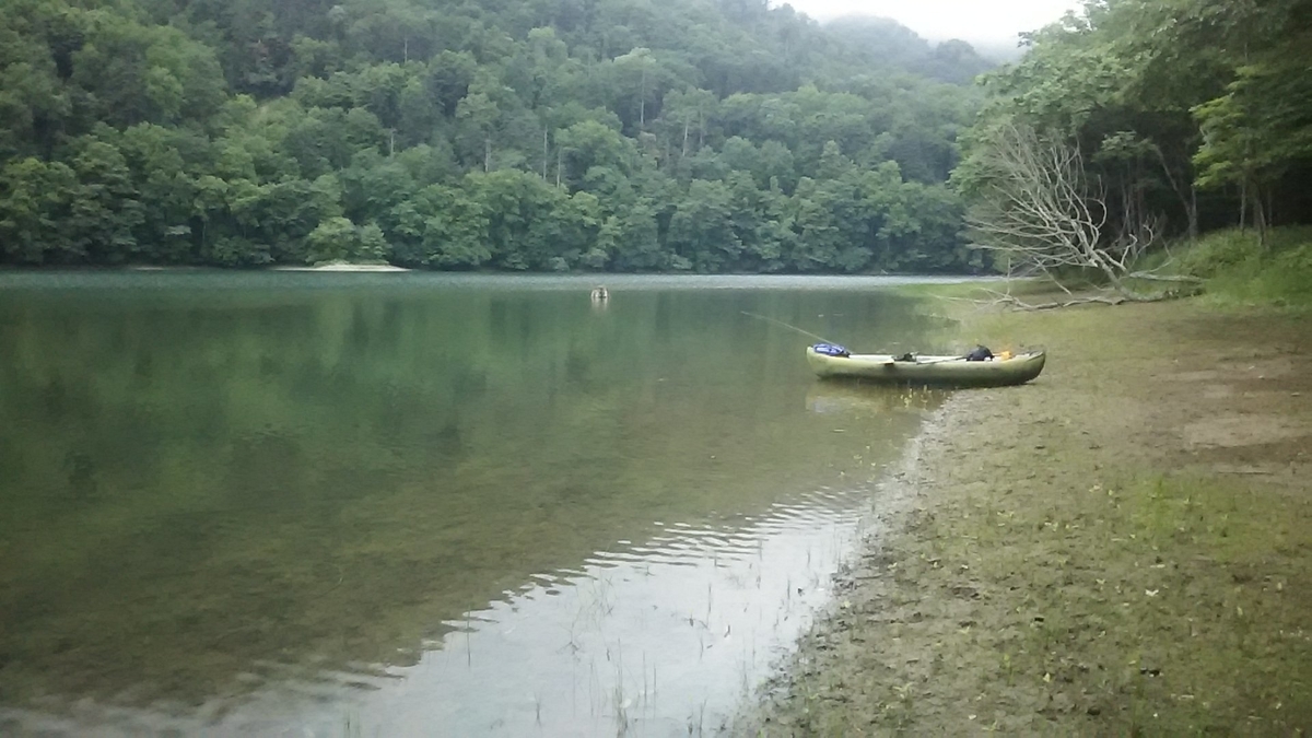 f:id:flyfisher417:20200730102631j:plain f:id:flyfisher417:20200730102631j:plain