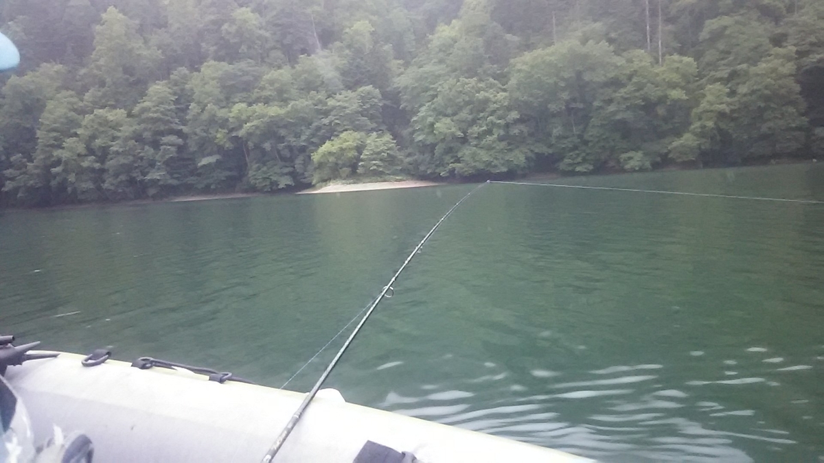 f:id:flyfisher417:20200730114730j:plain f:id:flyfisher417:20200730114730j:plain