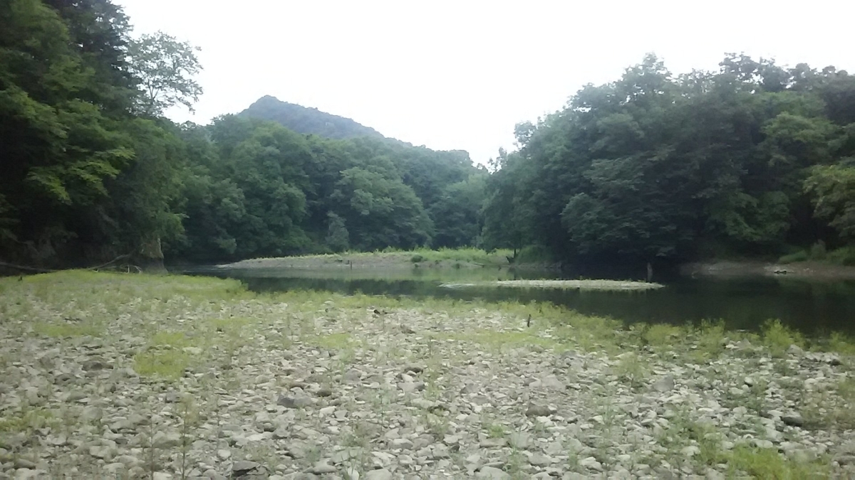 f:id:flyfisher417:20200730114822j:plain f:id:flyfisher417:20200730114822j:plain