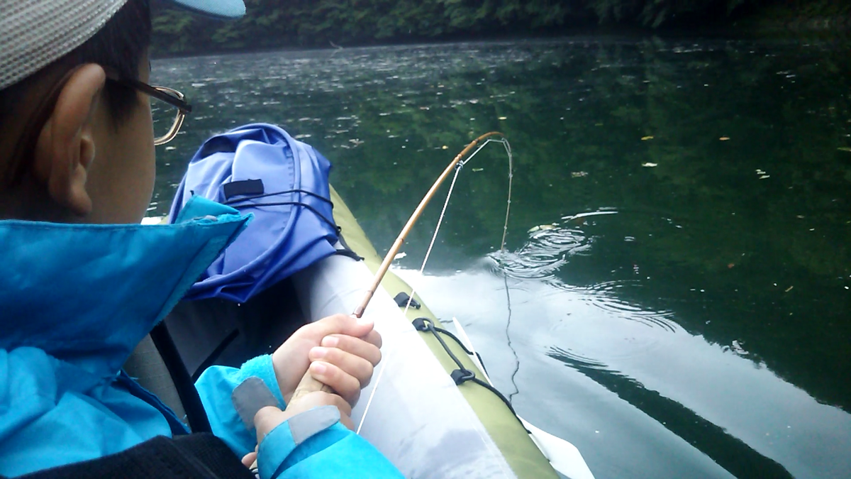 f:id:flyfisher417:20200730115440p:plain f:id:flyfisher417:20200730115440p:plain