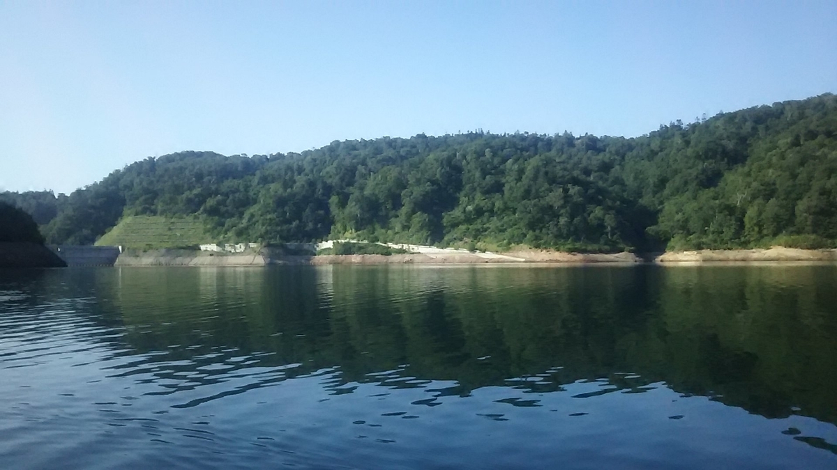 f:id:flyfisher417:20200802155644j:plain