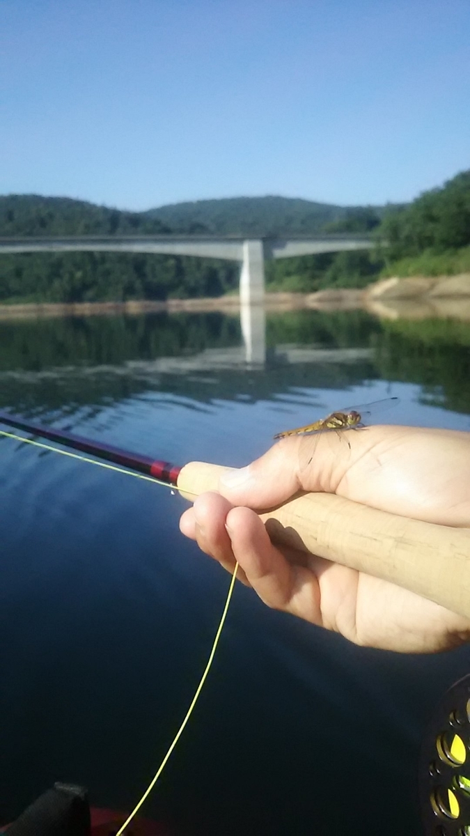 f:id:flyfisher417:20200802155745j:plain