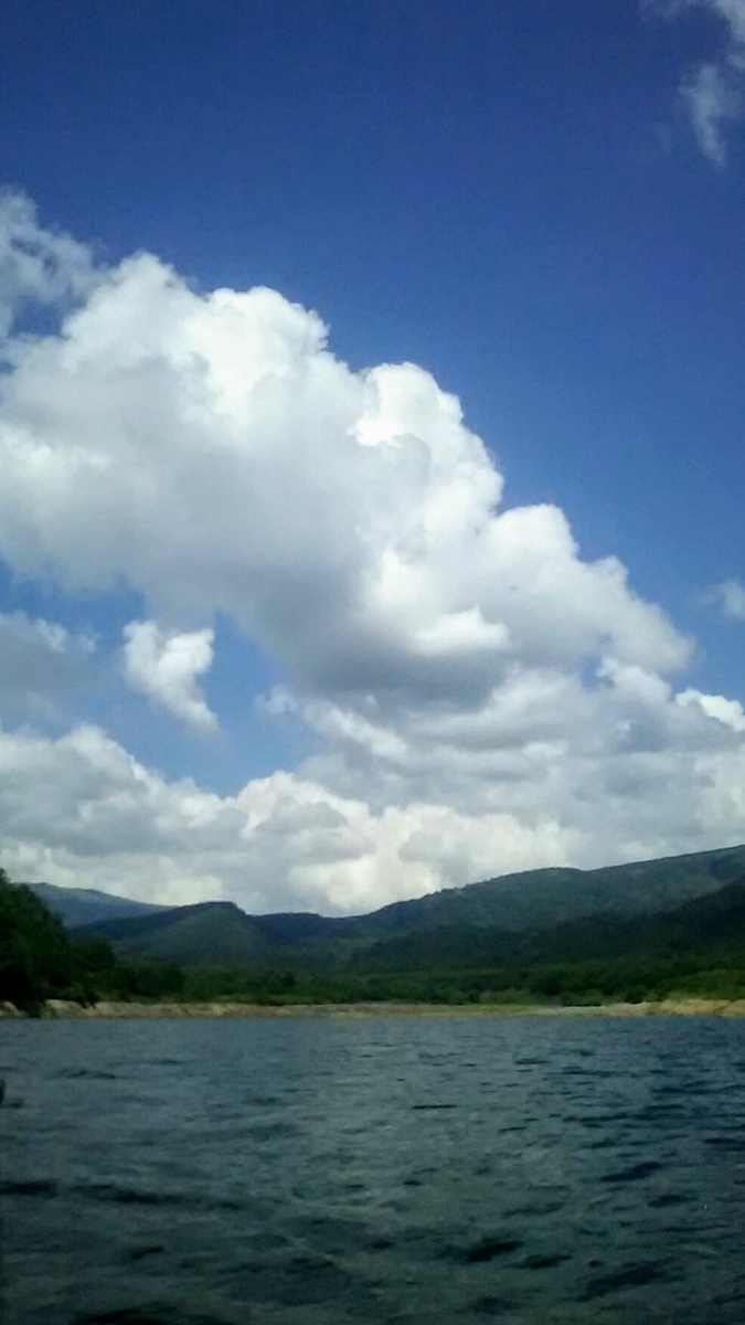 f:id:flyfisher417:20200802160026j:plain