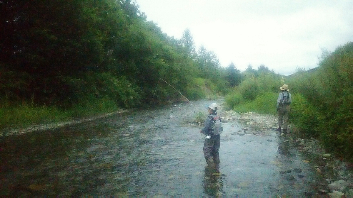f:id:flyfisher417:20200817183740j:plain