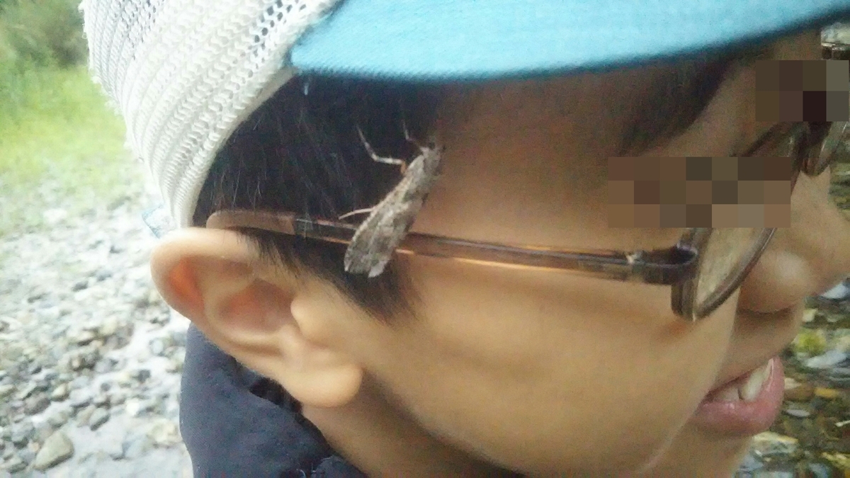 f:id:flyfisher417:20200817184321j:plain