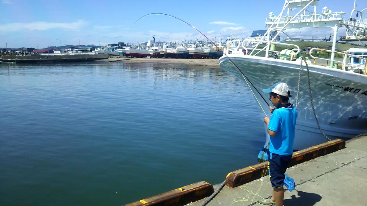 f:id:flyfisher417:20200819210640p:plain