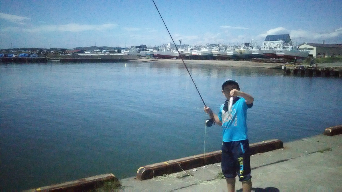 f:id:flyfisher417:20200819210933j:plain