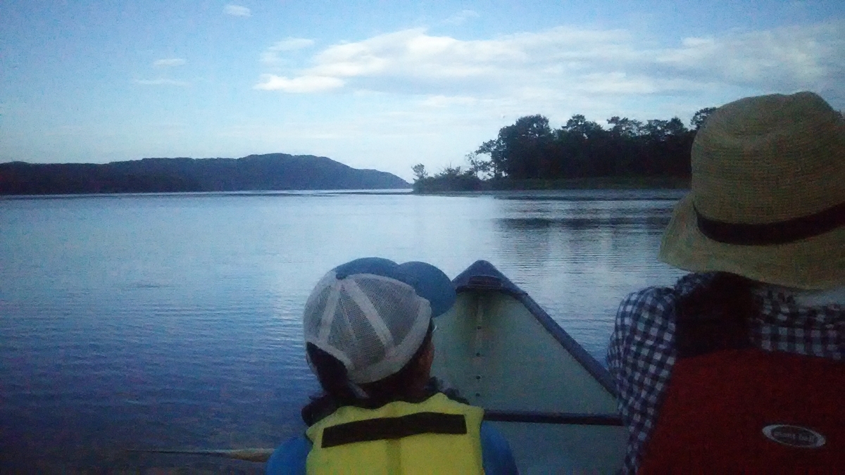 f:id:flyfisher417:20200821124907j:plain f:id:flyfisher417:20200821124907j:plain