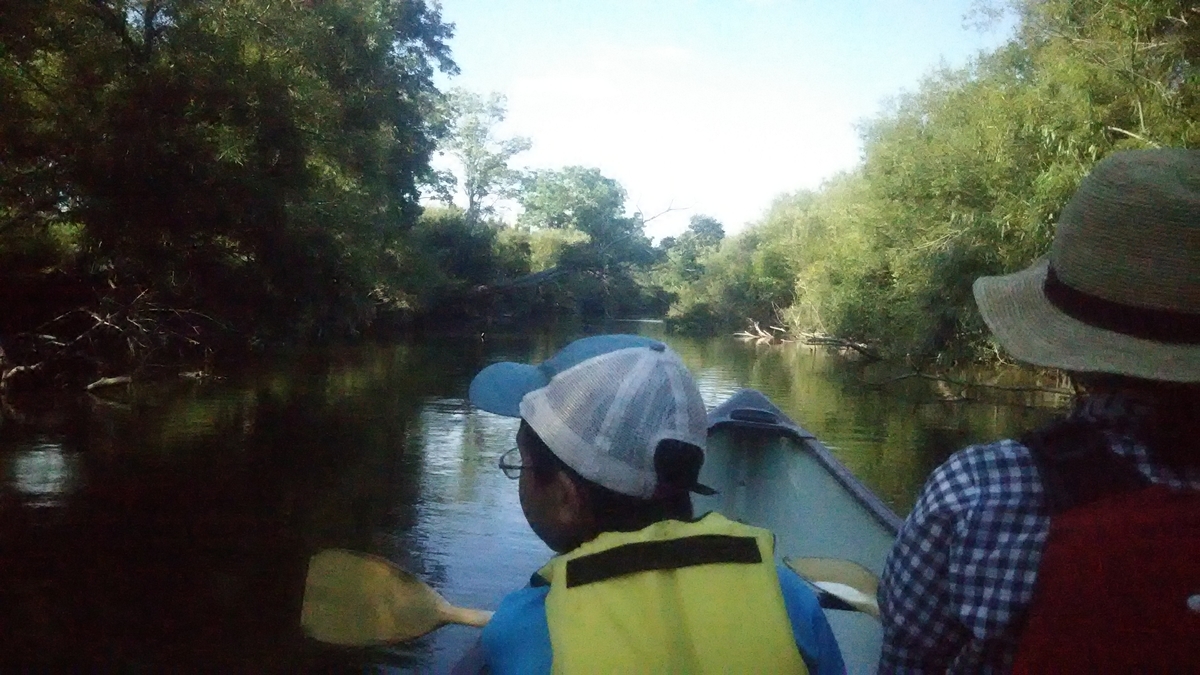 f:id:flyfisher417:20200821125112j:plain f:id:flyfisher417:20200821125112j:plain