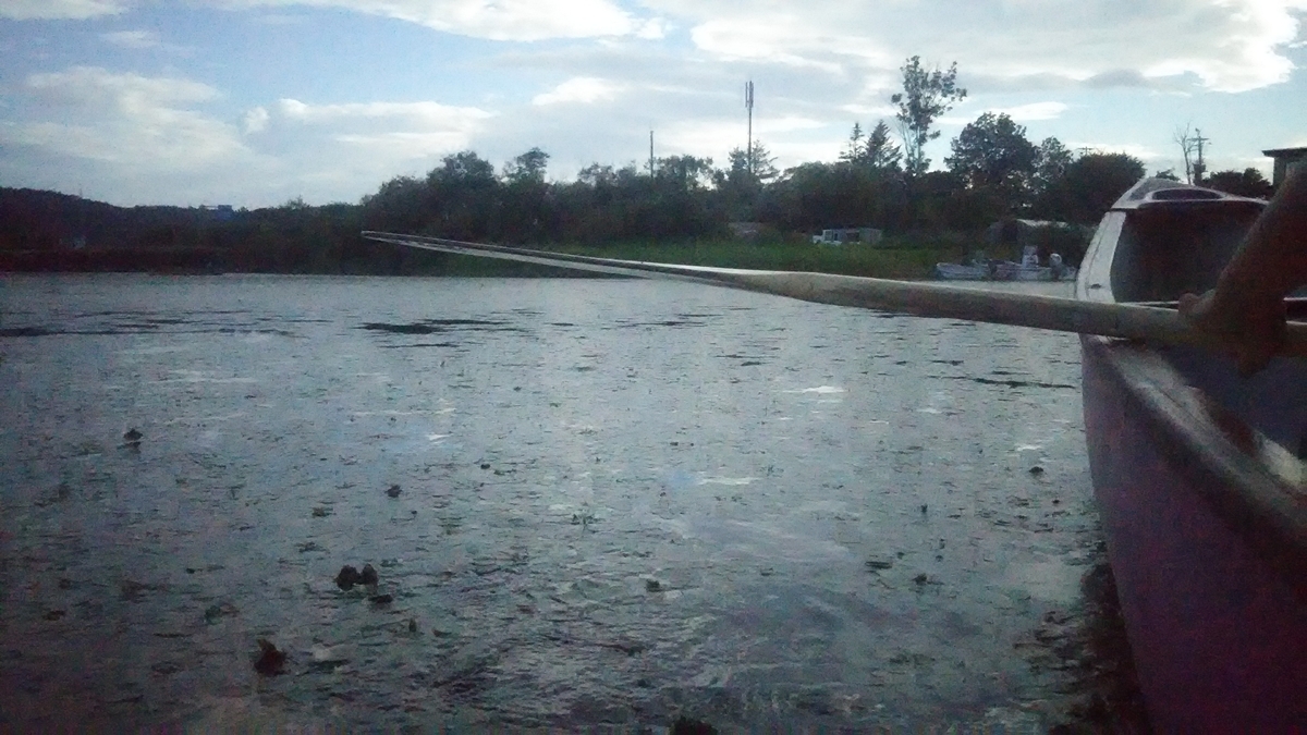 f:id:flyfisher417:20200821125140j:plain f:id:flyfisher417:20200821125140j:plain