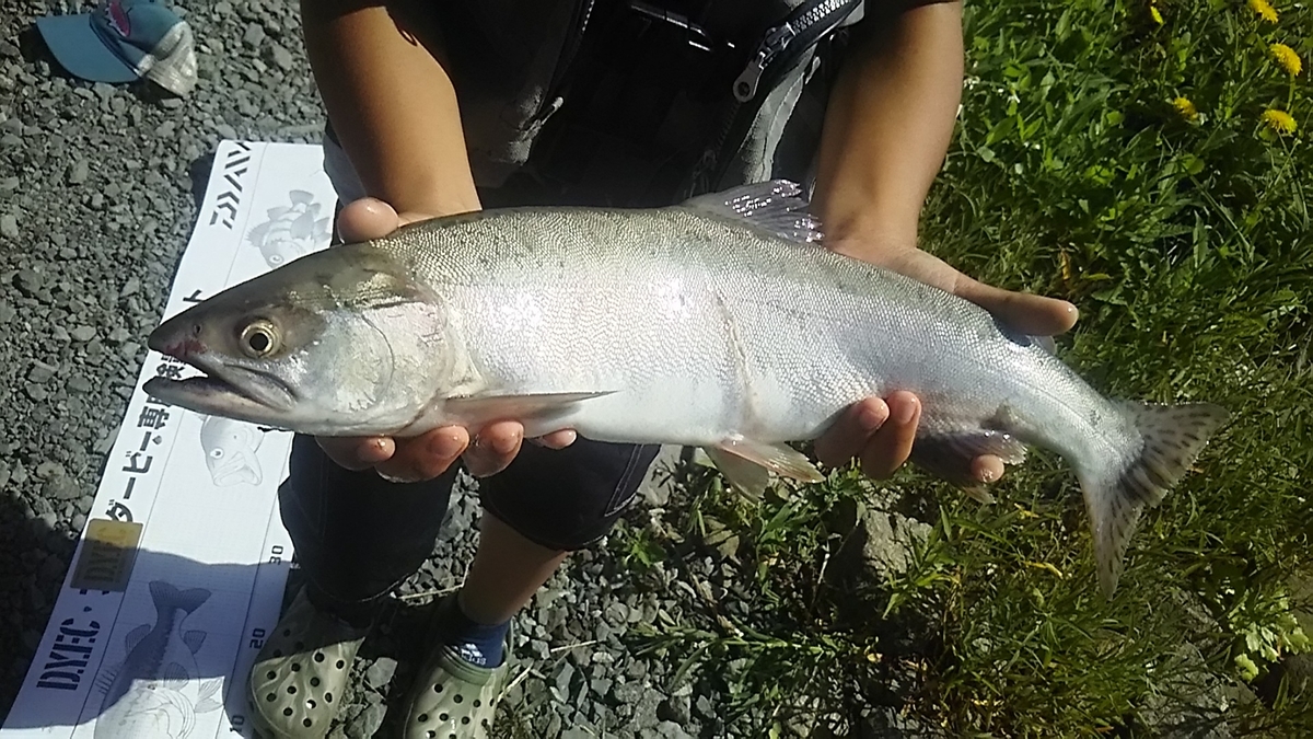 f:id:flyfisher417:20200824182916j:plain