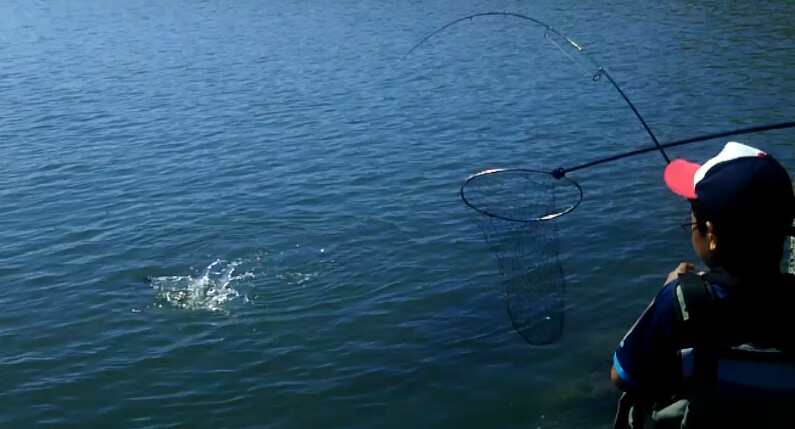 f:id:flyfisher417:20200824184244j:plain