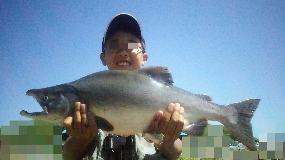 f:id:flyfisher417:20200824184536j:plain