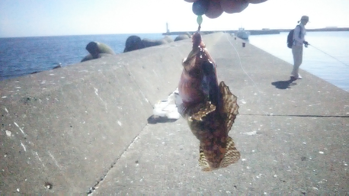 f:id:flyfisher417:20200824191811j:plain