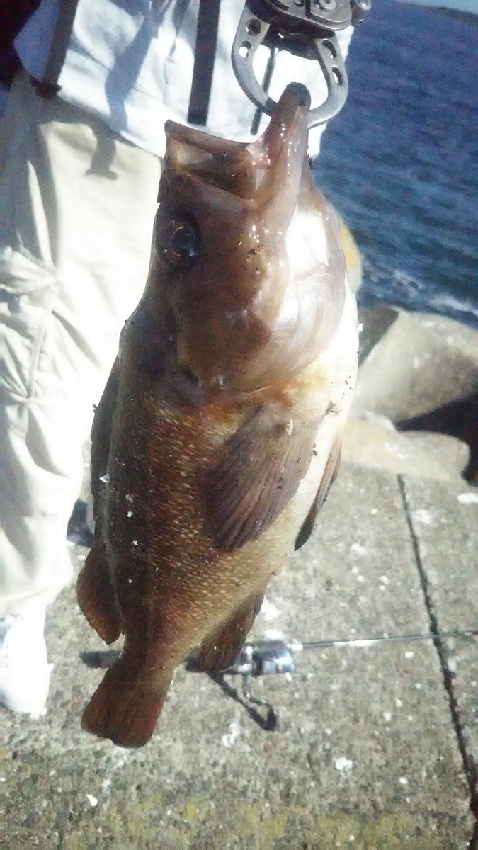 f:id:flyfisher417:20200824192000j:plain