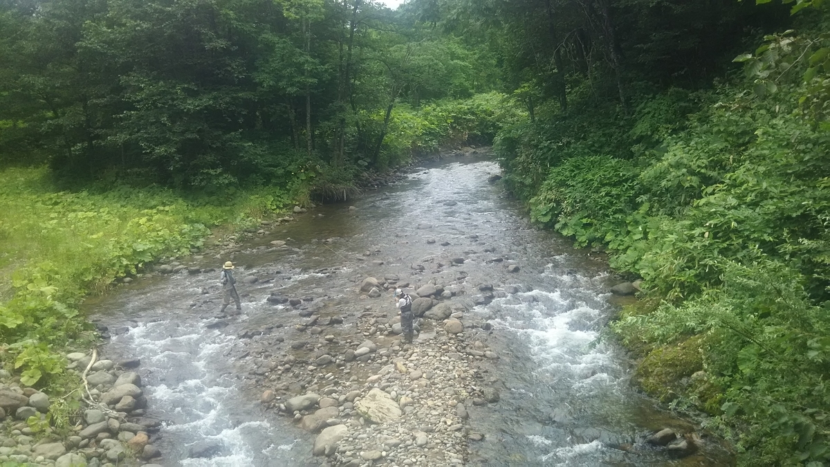 f:id:flyfisher417:20200901215140j:plain
