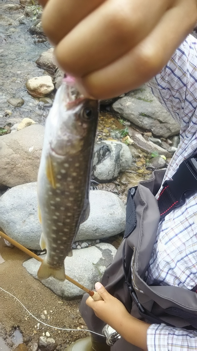 f:id:flyfisher417:20200901215210j:plain
