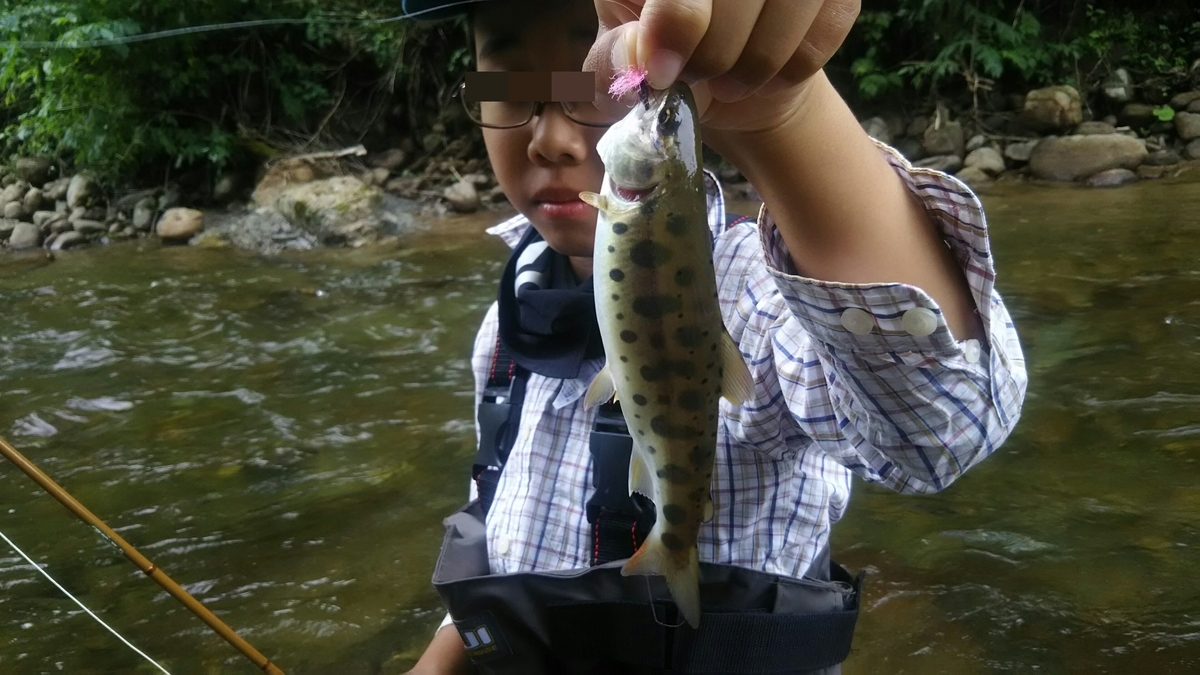 f:id:flyfisher417:20200901215238j:plain