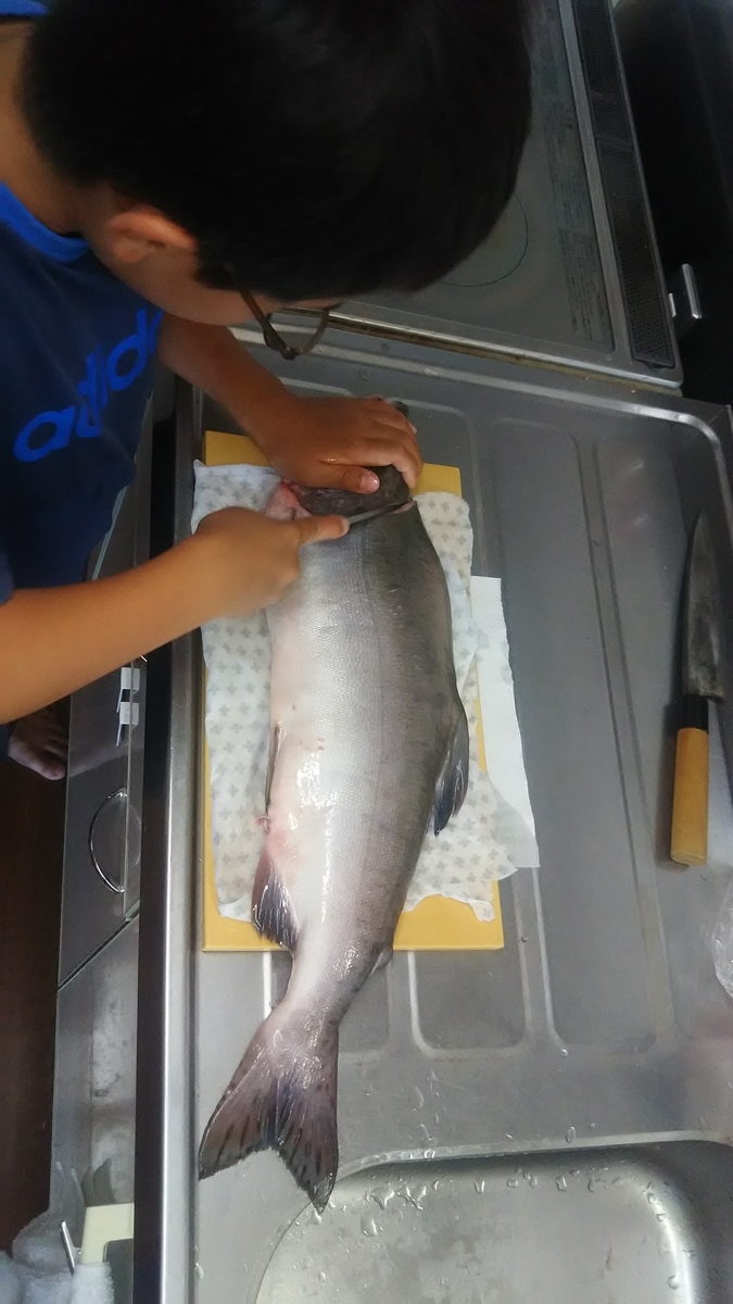 f:id:flyfisher417:20200901215501j:plain