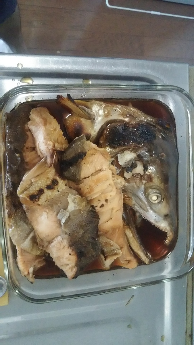 f:id:flyfisher417:20200901215923j:plain