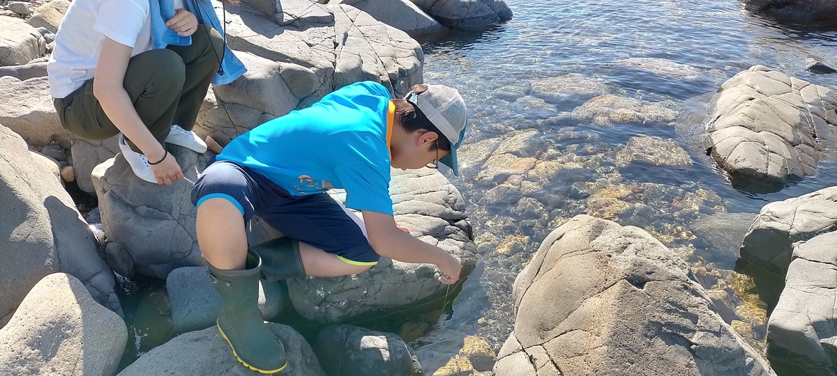 f:id:flyfisher417:20200902202827j:plain f:id:flyfisher417:20200902202827j:plain