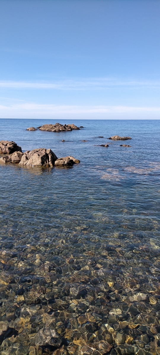 f:id:flyfisher417:20200902204241j:plain f:id:flyfisher417:20200902204241j:plain