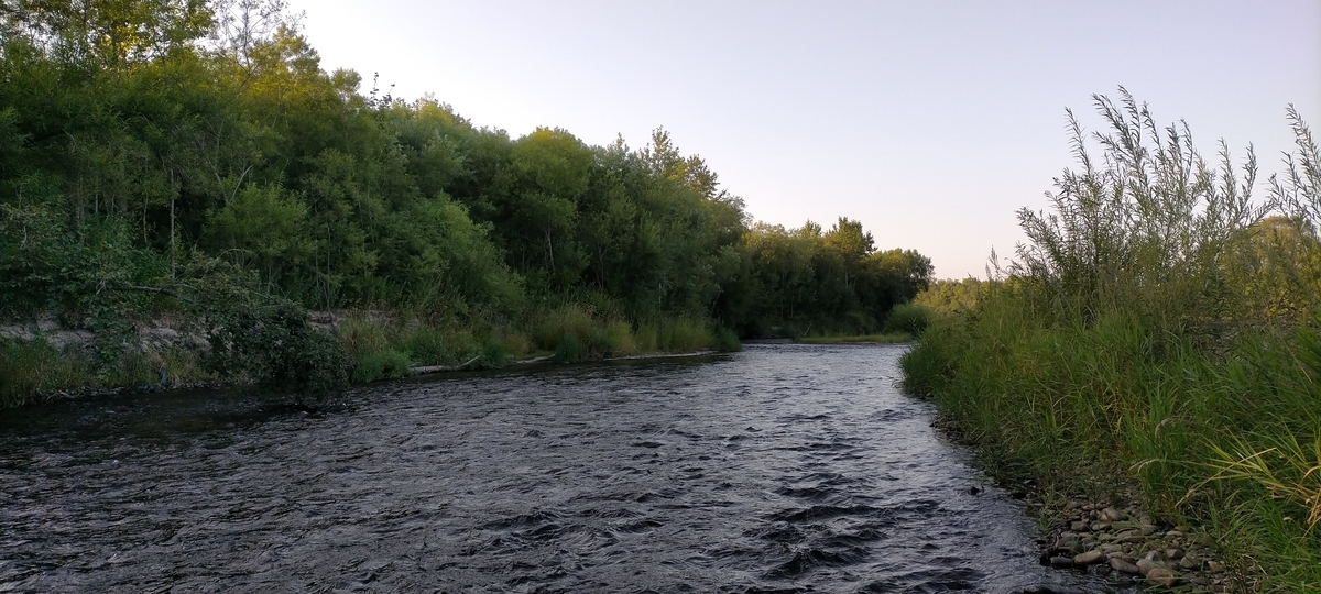 f:id:flyfisher417:20200903174109j:plain f:id:flyfisher417:20200903174109j:plain