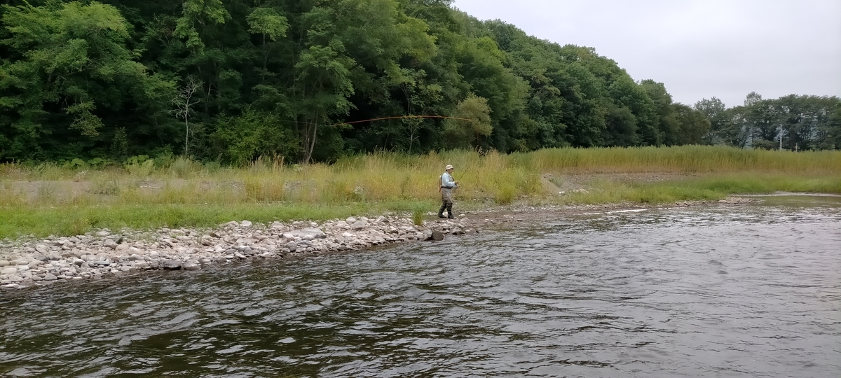 f:id:flyfisher417:20200903210320j:plain f:id:flyfisher417:20200903210320j:plain