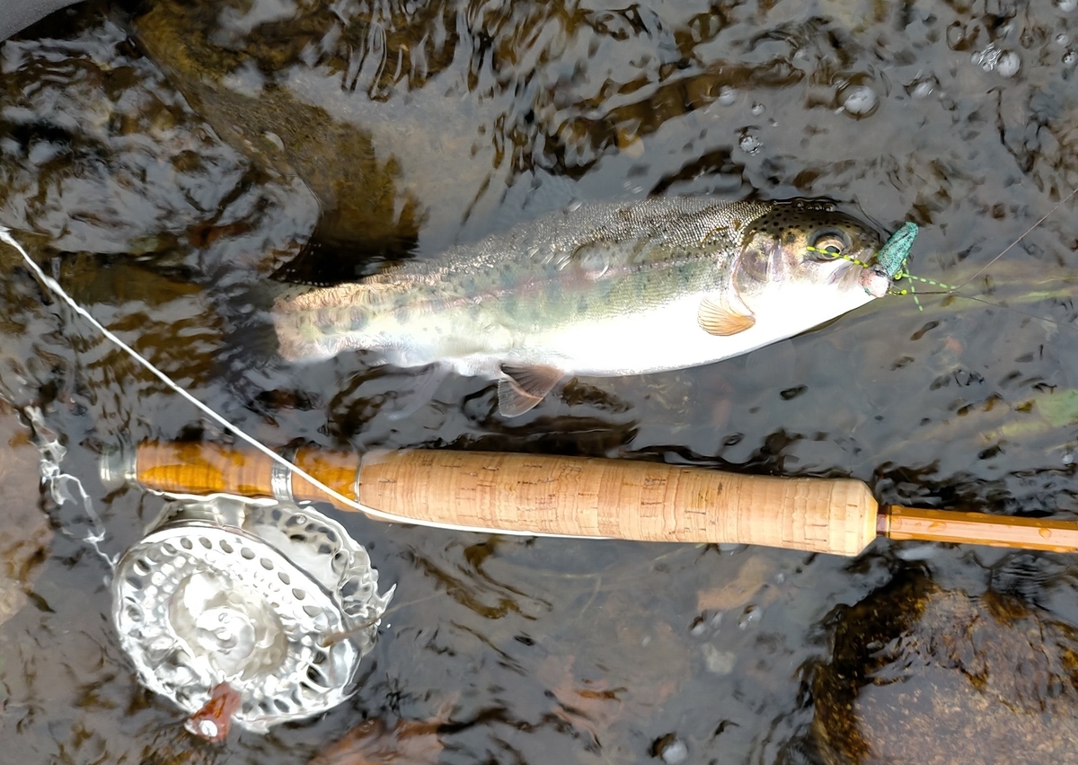 f:id:flyfisher417:20200903210355j:plain f:id:flyfisher417:20200903210355j:plain