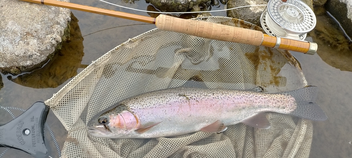 f:id:flyfisher417:20200903210502j:plain f:id:flyfisher417:20200903210502j:plain