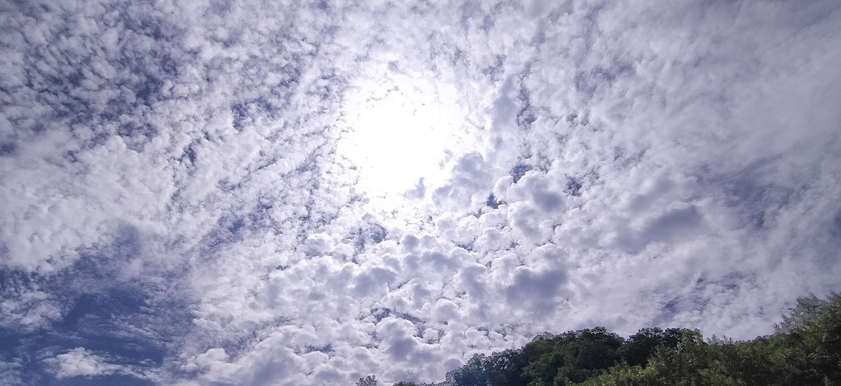 f:id:flyfisher417:20200903210543j:plain f:id:flyfisher417:20200903210543j:plain