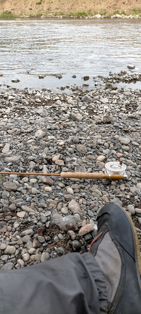 f:id:flyfisher417:20200903210707j:plain f:id:flyfisher417:20200903210707j:plain