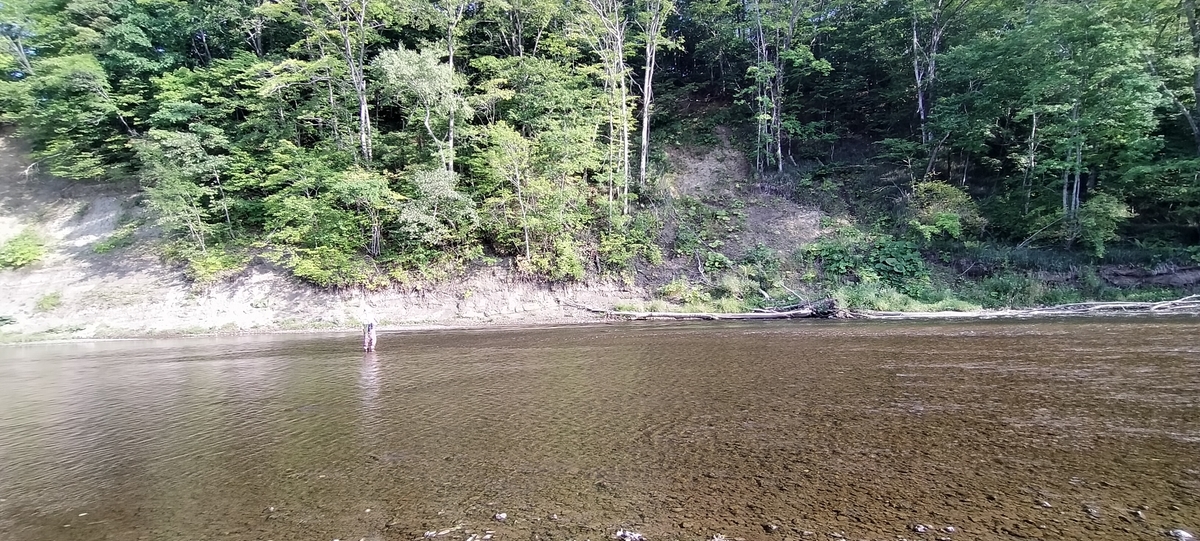 f:id:flyfisher417:20200903210744j:plain f:id:flyfisher417:20200903210744j:plain