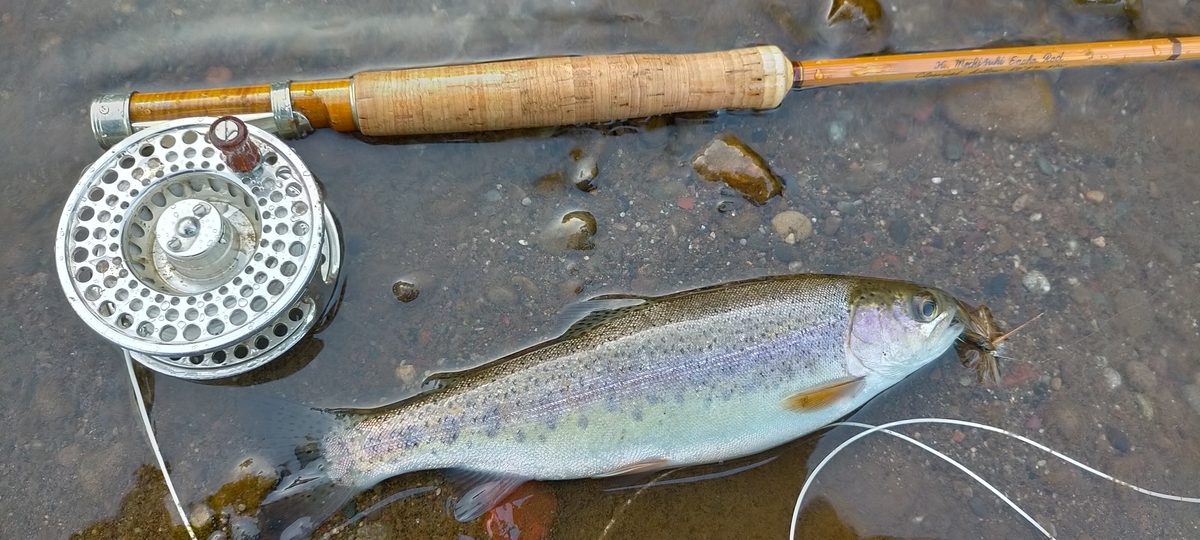 f:id:flyfisher417:20200903210804j:plain f:id:flyfisher417:20200903210804j:plain
