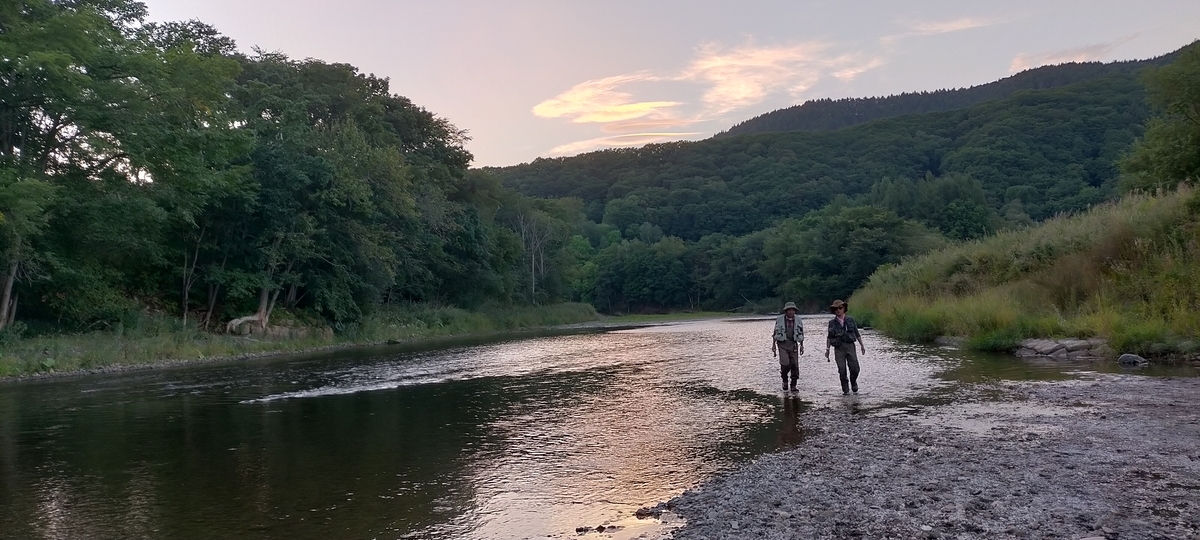f:id:flyfisher417:20200903210821j:plain f:id:flyfisher417:20200903210821j:plain