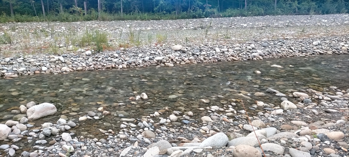 f:id:flyfisher417:20200903210854j:plain f:id:flyfisher417:20200903210854j:plain