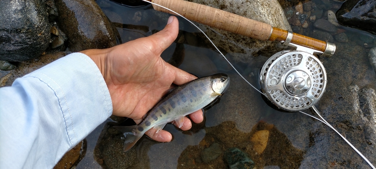 f:id:flyfisher417:20200903211002j:plain f:id:flyfisher417:20200903211002j:plain