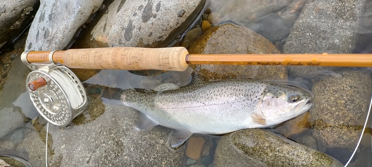 f:id:flyfisher417:20200903211026j:plain f:id:flyfisher417:20200903211026j:plain