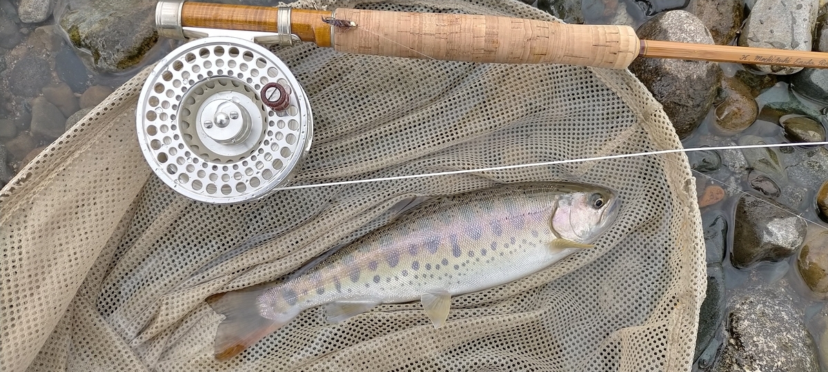 f:id:flyfisher417:20200903211132j:plain f:id:flyfisher417:20200903211132j:plain