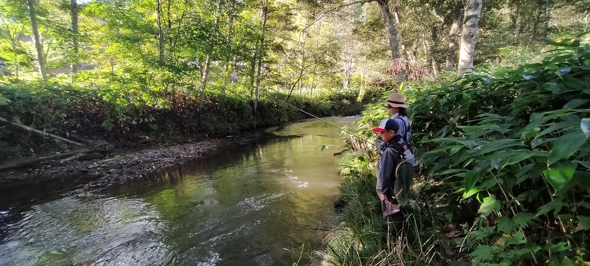 f:id:flyfisher417:20200907223222j:plain